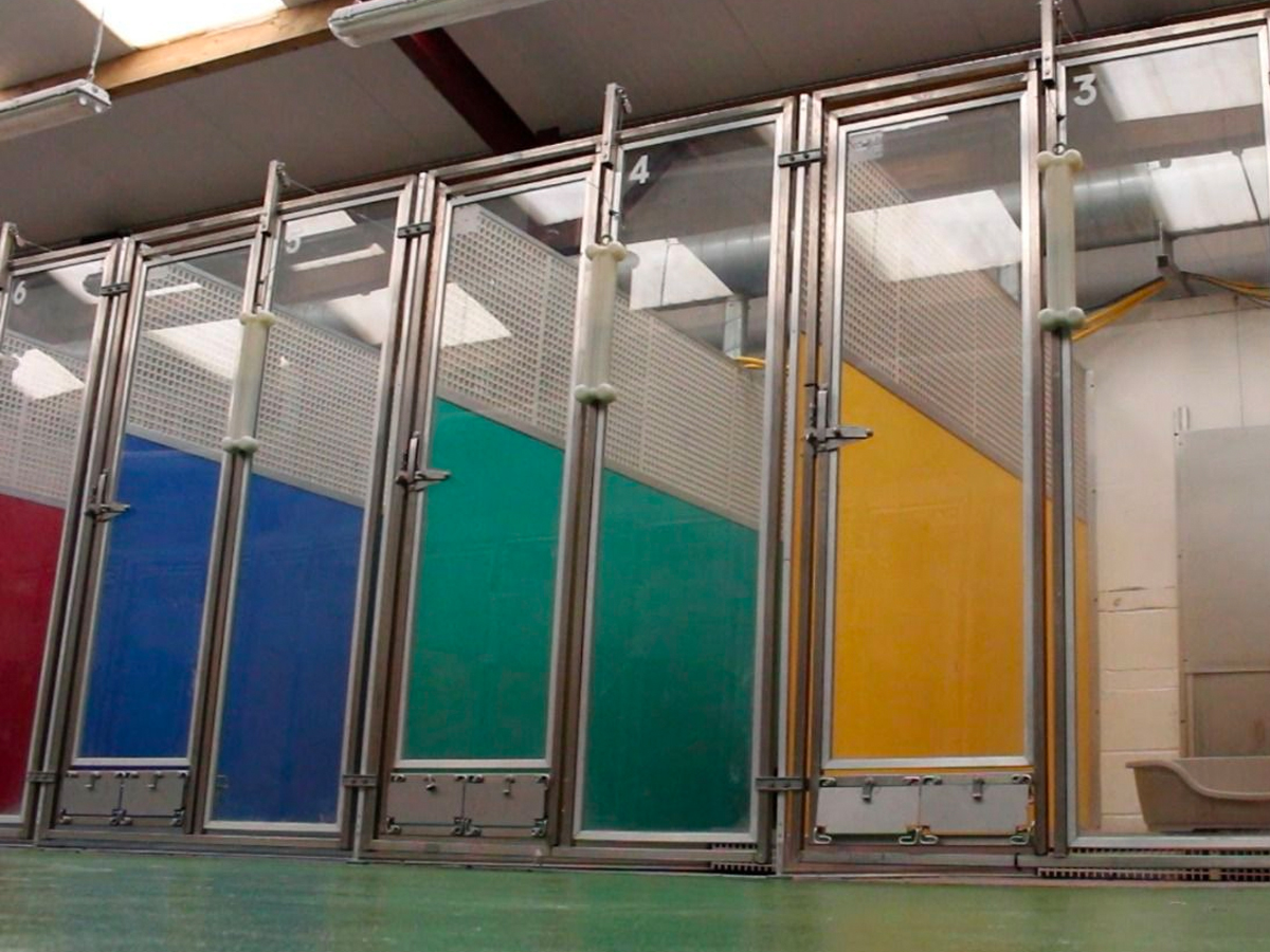 Dog Boarding Kennels Dog Grooming Manchester Boarding Kennels